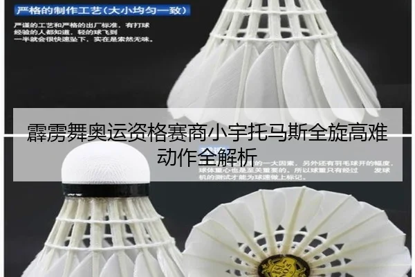 pi-li-wu-ao-yun-zi-ge-sai-shang-xiao-yu-tuo-ma-si-quan-xuan-gao-nan-dong-zuo-quan-jie-xi-3-473.jpg