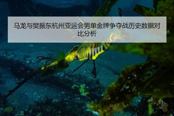 马龙与樊振东杭州亚运会男单金牌争夺战历史数据对比分析